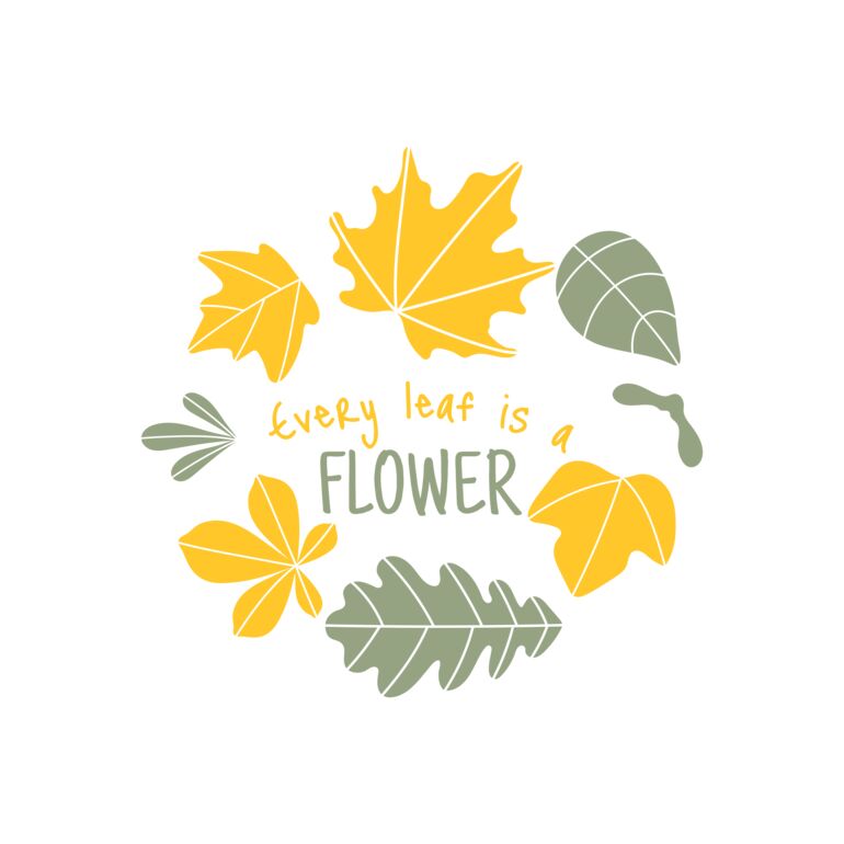 Fall Season 13 Thumbnail