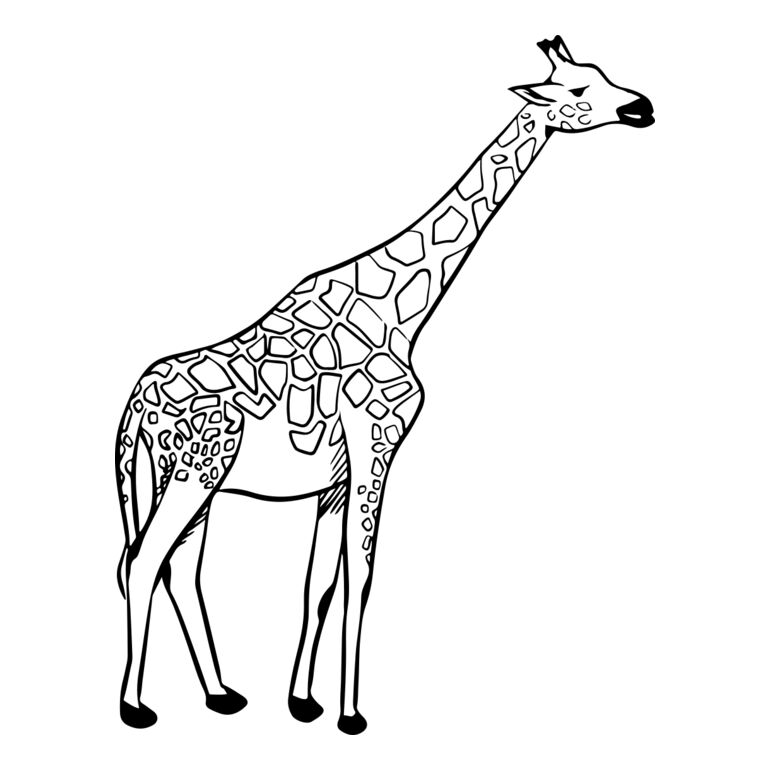 Giraffe   Clipart 2 Thumbnail