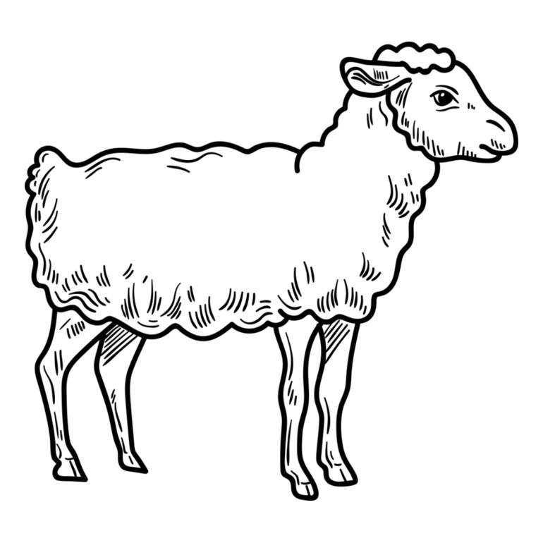Lamb   Clipart 3 Thumbnail