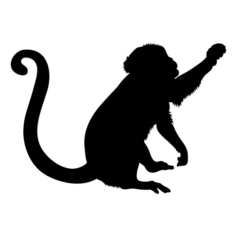 Monkey   Clipart 2 Thumbnail