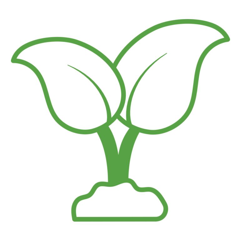 39 Leaves Thumbnail