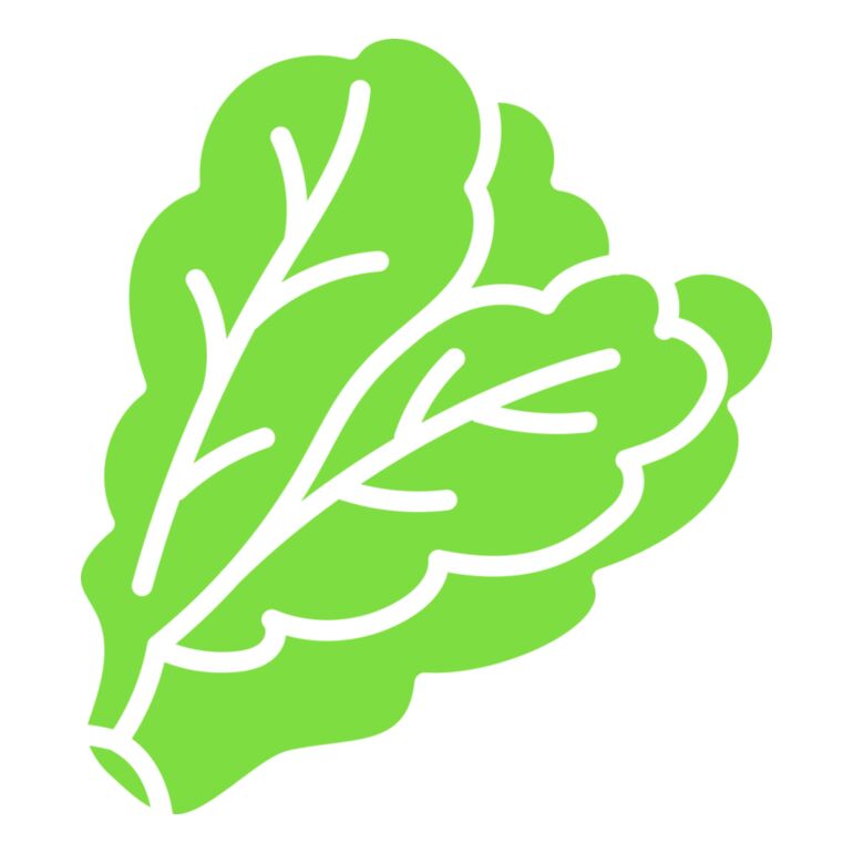 Lettuce Thumbnail