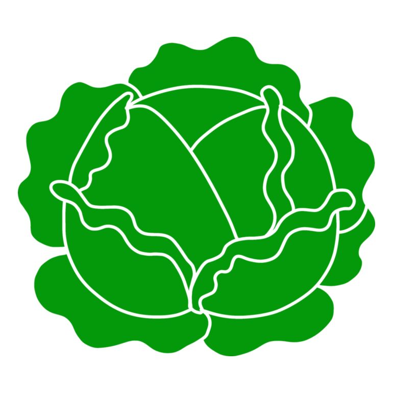 Cabbage Thumbnail