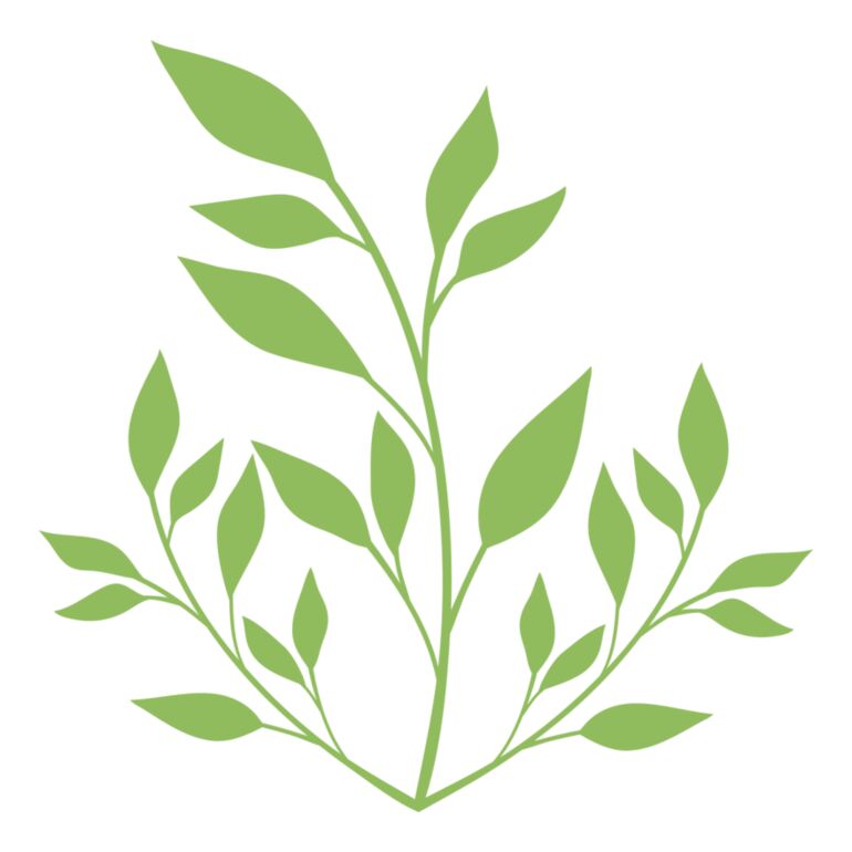 Leaves Thumbnail