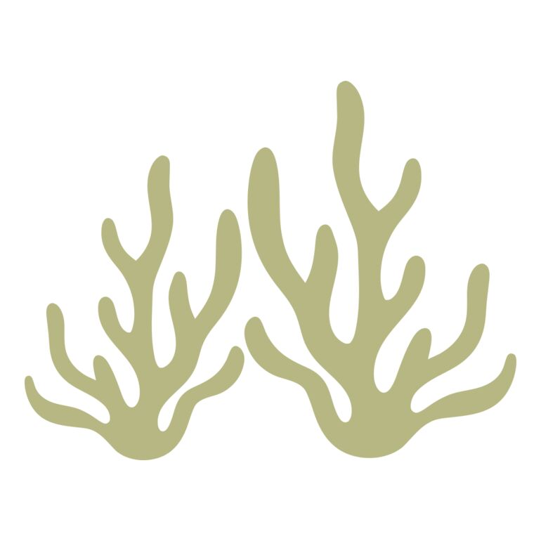 Sea Plants 2 Thumbnail