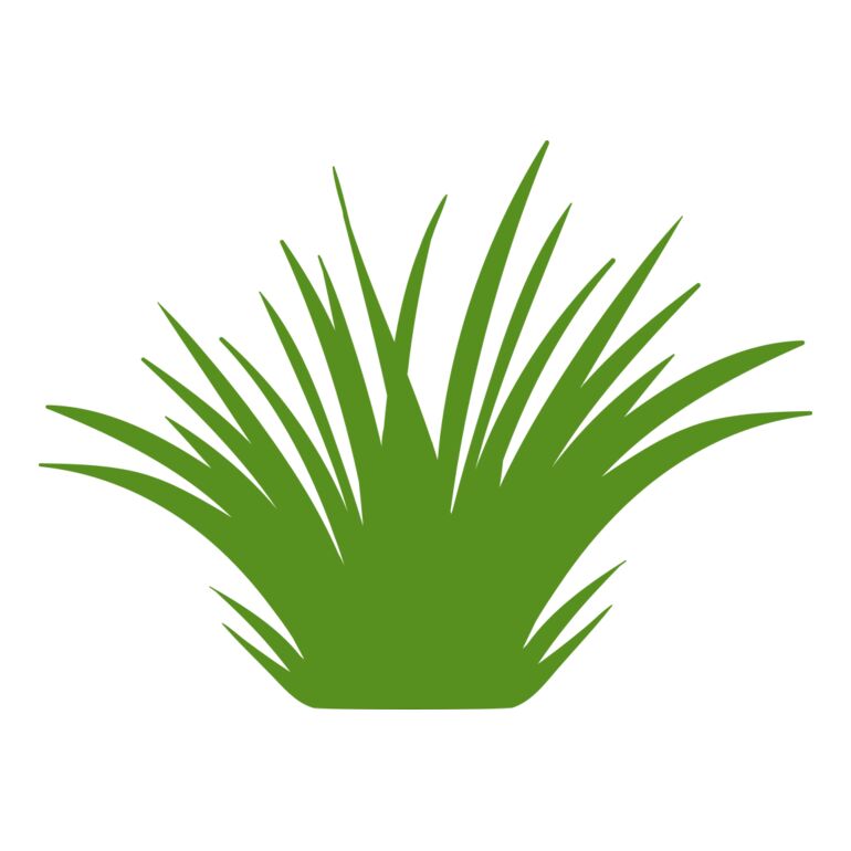 Grass 2 Thumbnail