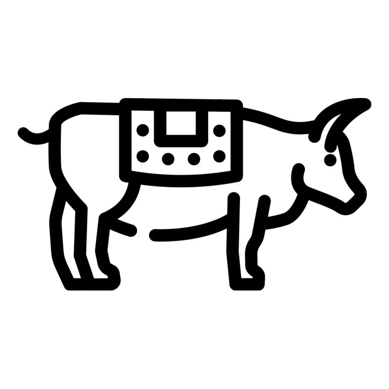 Sacred Cow 3 Thumbnail
