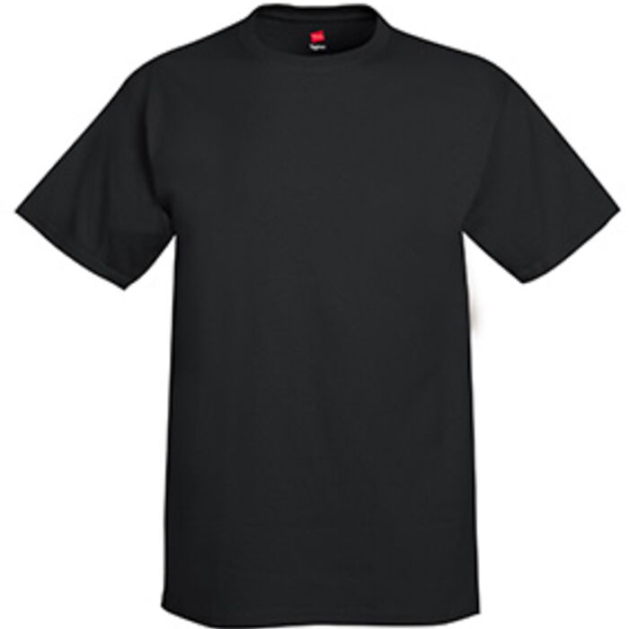 Hanes Tagless ® 100% Preshrunk Cotton T Shirt Thumbnail