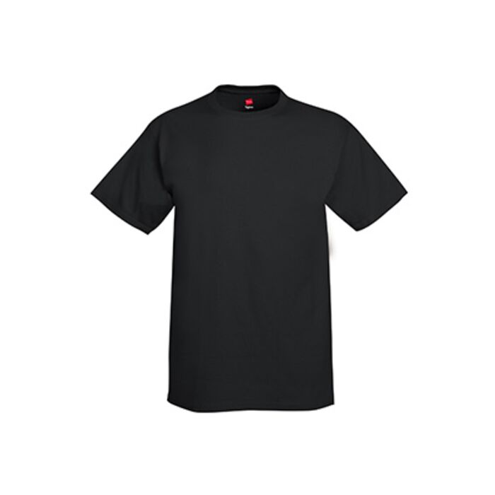 Hanes Tagless ® 100% Preshrunk Cotton T Shirt Thumbnail