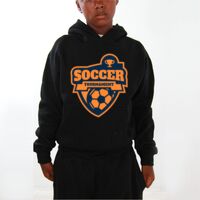 Youth Hoodies (Y300) Thumbnail