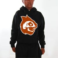Youth Hoodies (Y300) Thumbnail