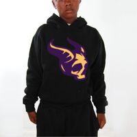 Youth Hoodies (Y300) Thumbnail