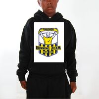 Youth Hoodies (Y300) Thumbnail