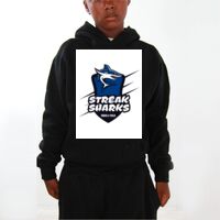 Youth Hoodies (Y300) Thumbnail