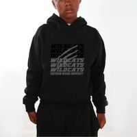 Youth Hoodies (Y300) Thumbnail