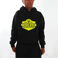 Youth Hoodies (Y300) Thumbnail