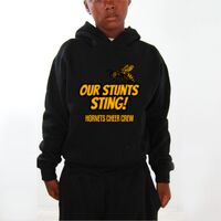 Youth Hoodies (Y300) Thumbnail