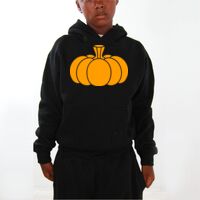 Youth Hoodies (Y300) Thumbnail