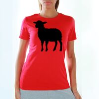  Women T-Shirts Thumbnail
