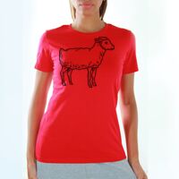  Women T-Shirts Thumbnail