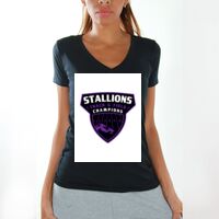 Women's V-Neck T-Shirts Thumbnail
