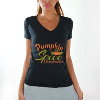 Women's V-Neck T-Shirts Thumbnail