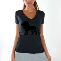 Women's V-Neck T-Shirts Thumbnail