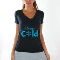 Women's V-Neck T-Shirts Thumbnail